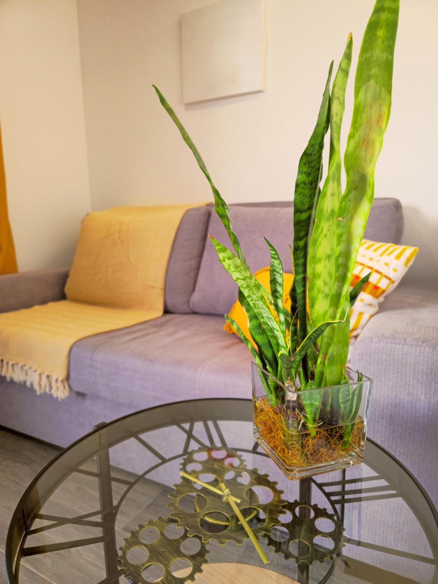 Brand New Private Modern Apartment With Patio And Sea View Calheta  Eksteriør bilde